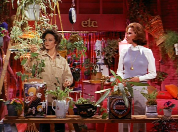 Incredible Plant Lady 2